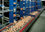 Конфигурируемый конвейер яйцесбора Lubing